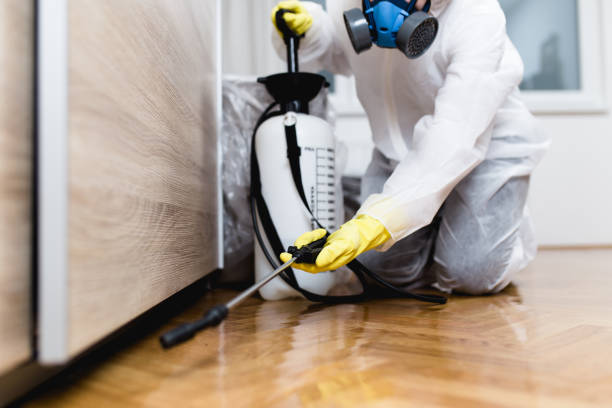 Best Pest Prevention Services  in Cloverdale, VA