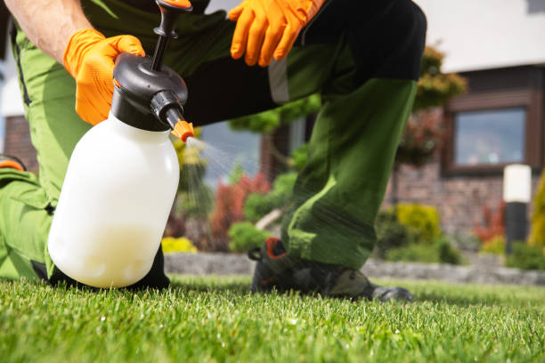 Best Bird Control  in Cloverdale, VA