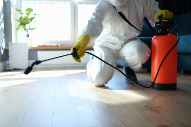 Best Affordable Pest Control Services  in Cloverdale, VA