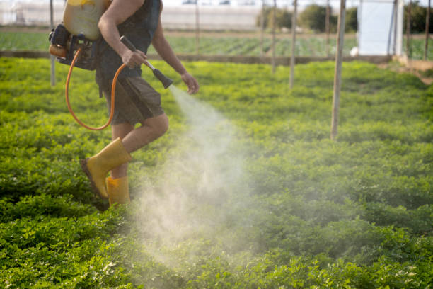 Best Ant Control Services  in Cloverdale, VA