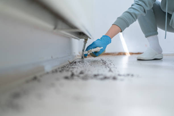  Cloverdale, VA Pest Control Pros